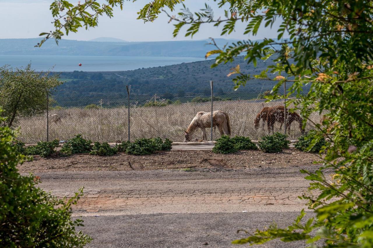 Nof Kinneret Cabins Had Nes Exterior photo