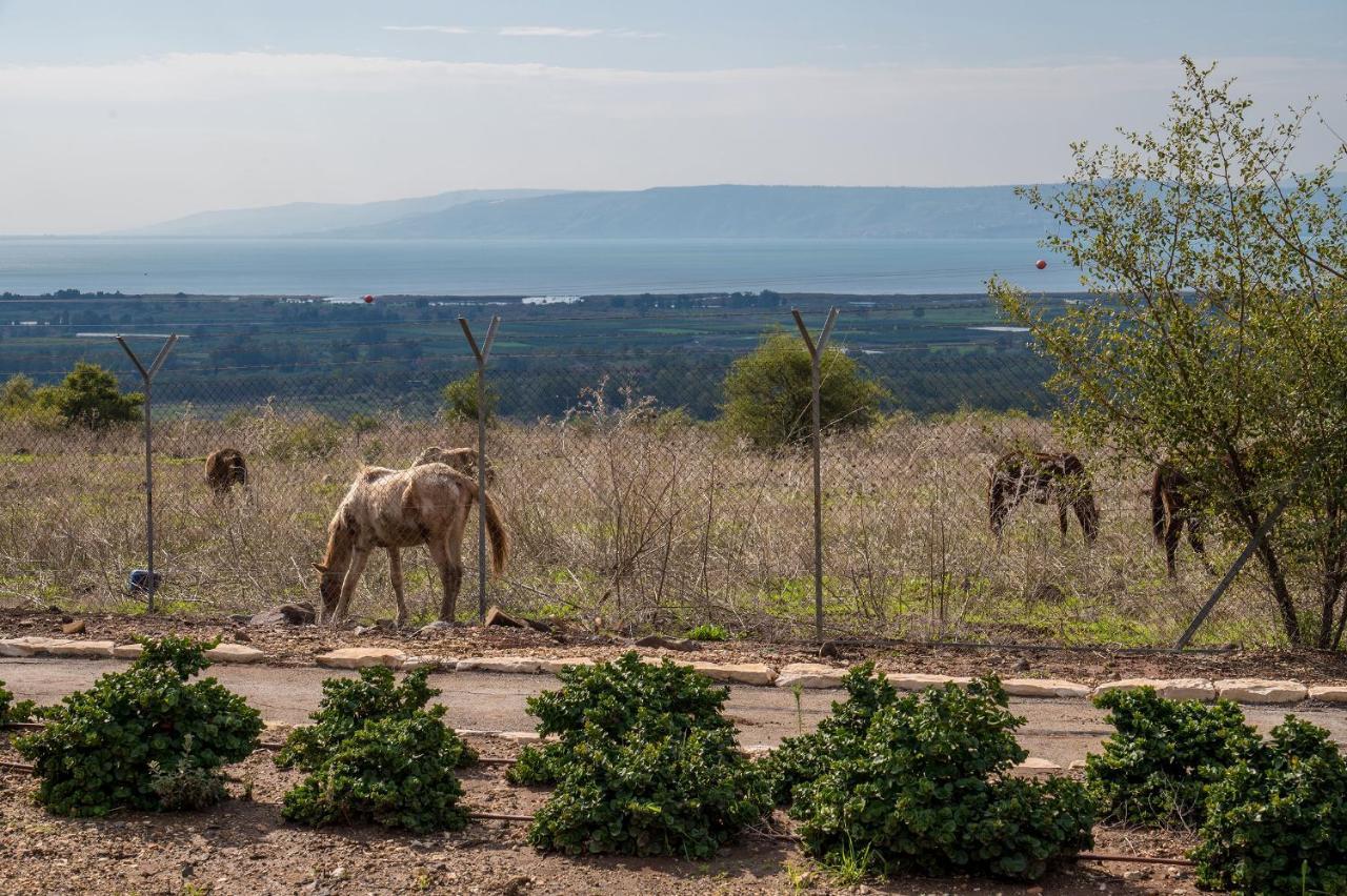 Nof Kinneret Cabins Had Nes Exterior photo